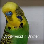 Expositie_Vogelvreugd_2009